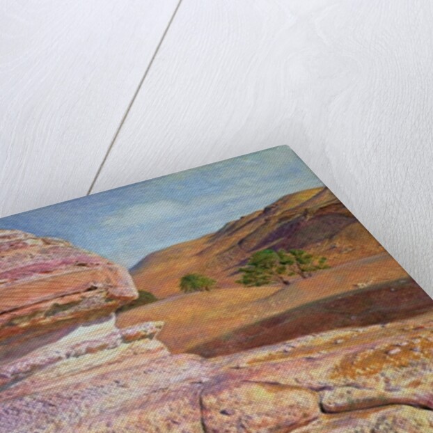 The Sphinx at Gizeh, 1854 by William Holman Hunt