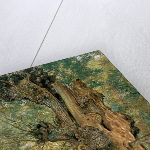 Pollard elm on the edge of the village pound by William Henry Hunt