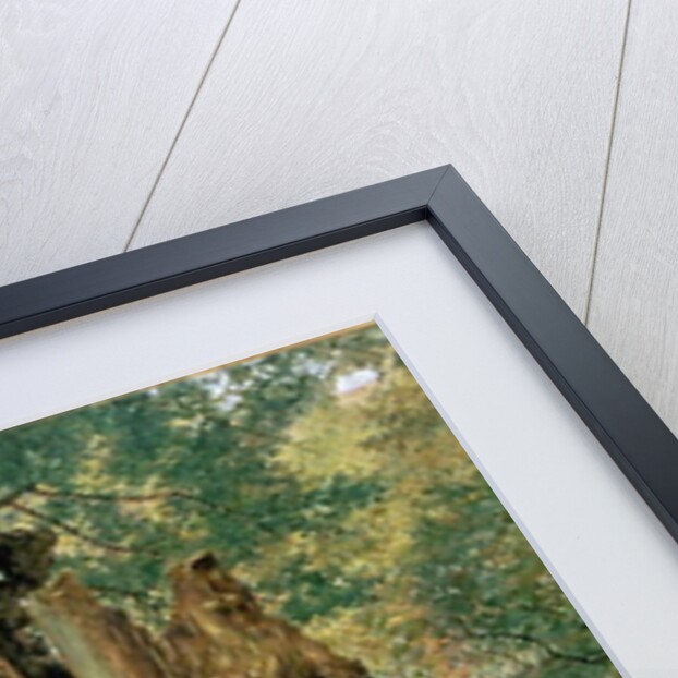 Pollard elm on the edge of the village pound by William Henry Hunt