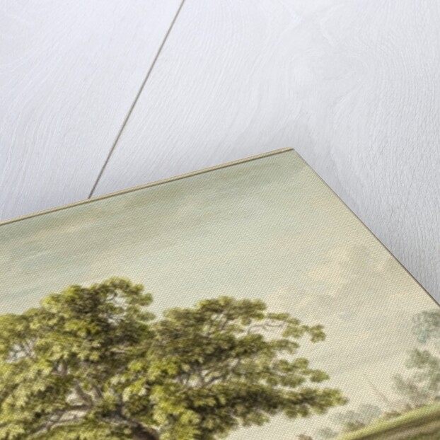 A Walnut Tree at Denton, near Grantham by Anthony Devis