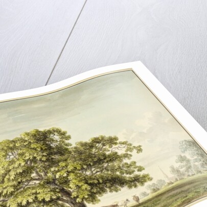 A Walnut Tree at Denton, near Grantham by Anthony Devis