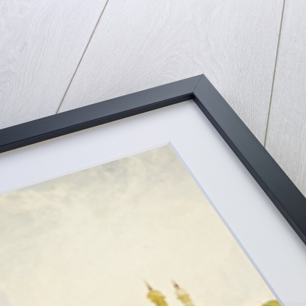 The Palace of the Hyder Ali Khan, Rajah of Mysore, c.1825 by John Sell Cotman