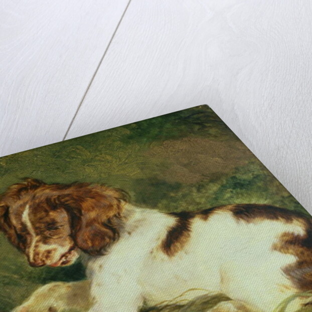 A Puppy teasing a Frog, 1824 by Edwin Landseer