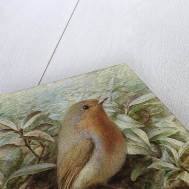 Robin on a Twig by Alexander Macdonald