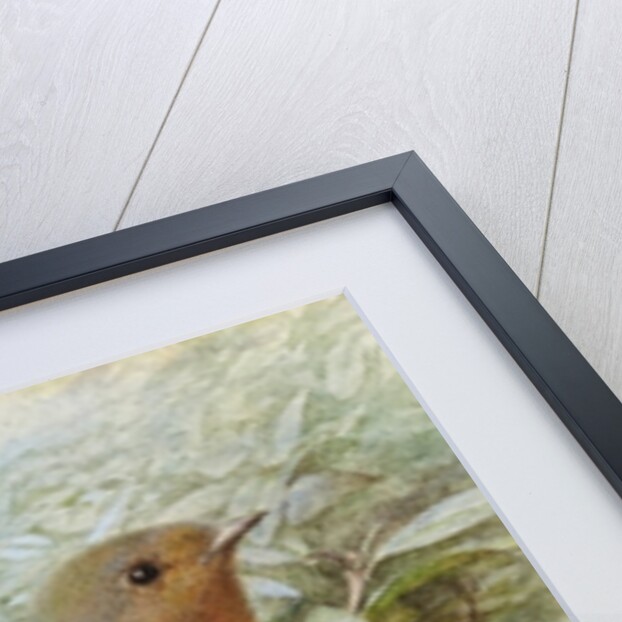 Robin on a Twig by Alexander Macdonald