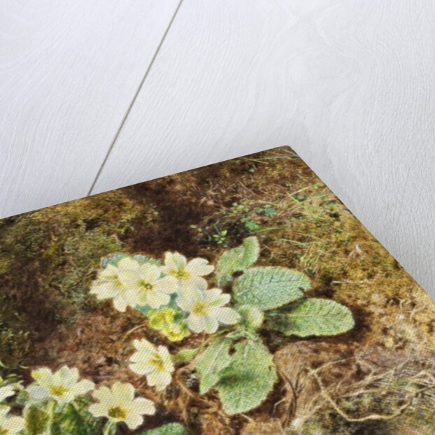 Primroses and Bird's Nest with Three Blue Eggs by William Henry Hunt