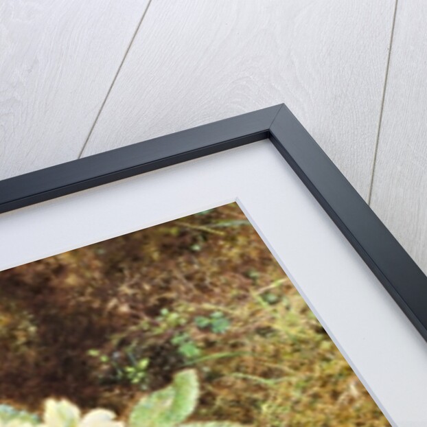 Primroses and Bird's Nest with Three Blue Eggs by William Henry Hunt