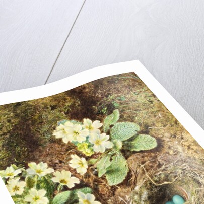 Primroses and Bird's Nest with Three Blue Eggs by William Henry Hunt