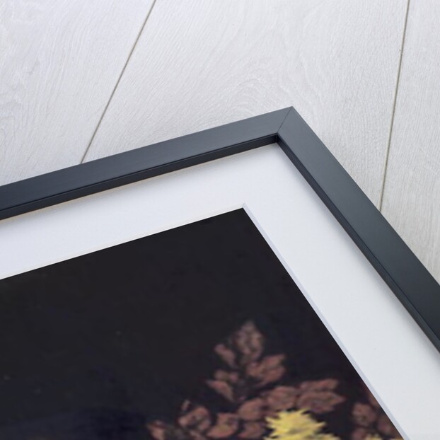 Chrysanthemums, c.1900 by Charles Henry Malcolm Kerr