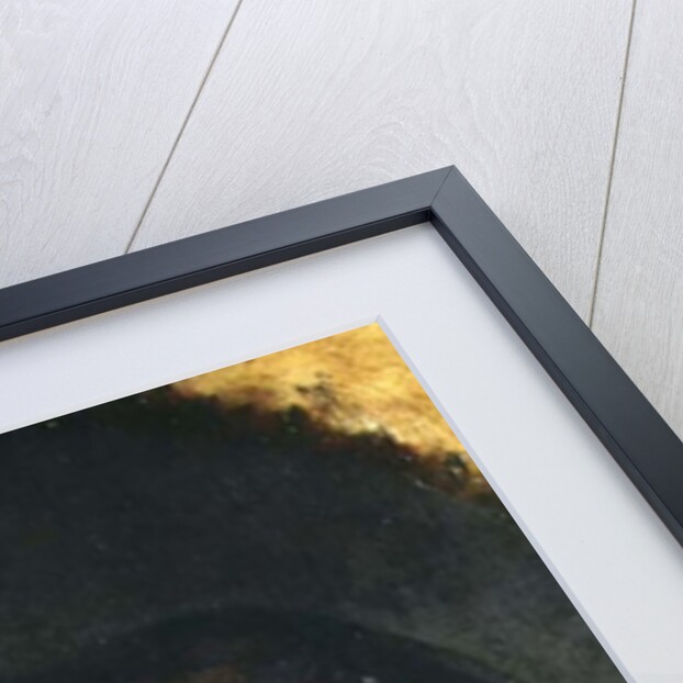 Olivia Raising her Veil, 1849 by Charles Robert Leslie