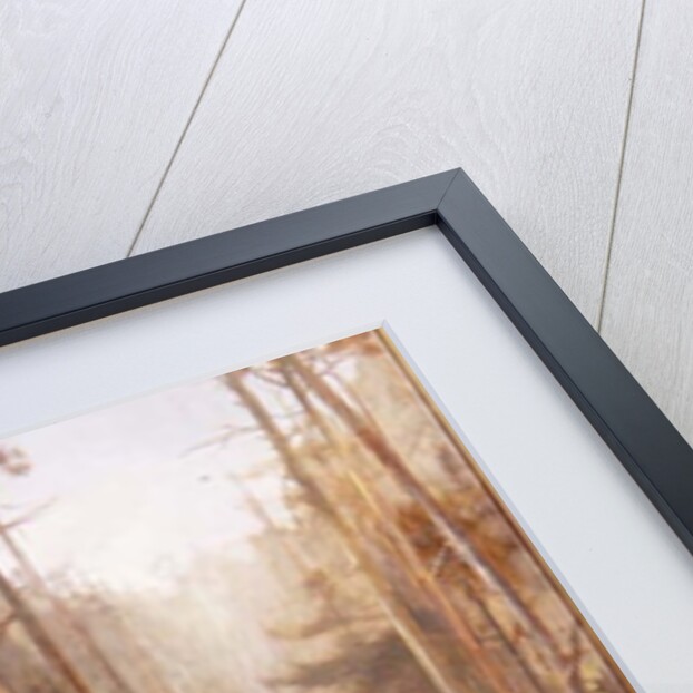 Priscilla, The Courtship of Miles Standish, 1885 by Laslett John Pott