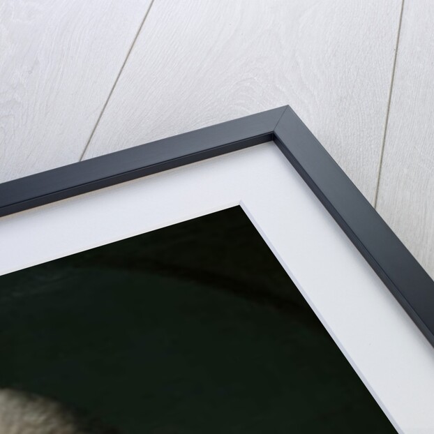 Mrs Tracy Travell by Allan Ramsay