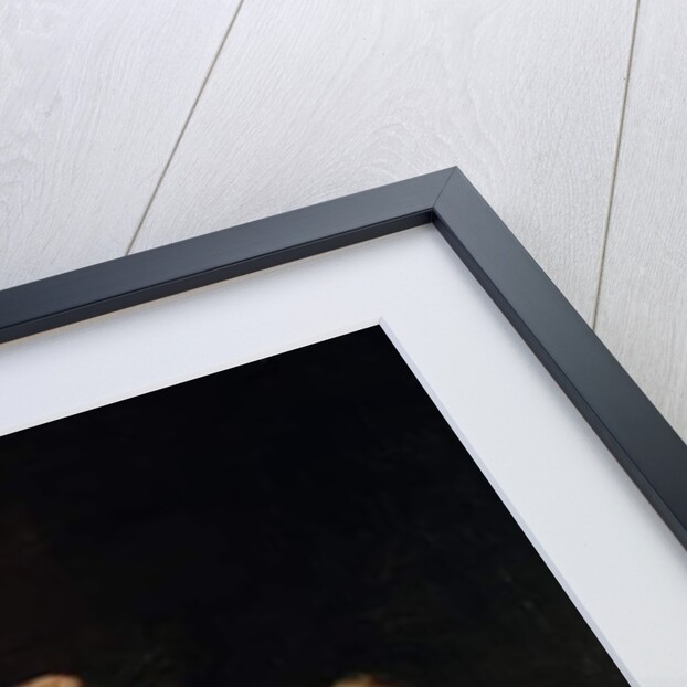 Danae and the Golden Shower, c.1750 by Andrea Casali