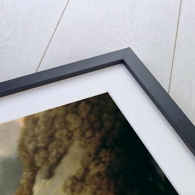 Moose, 1770 by George Stubbs