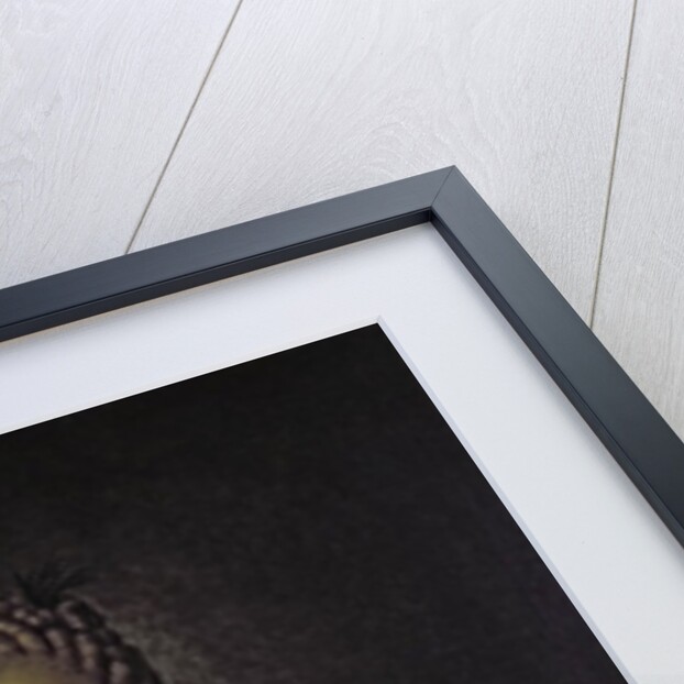 Queen Charlotte Sophia wife of King George III by Johann Zoffany