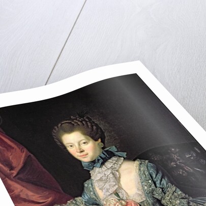 Queen Charlotte Sophia wife of King George III by Johann Zoffany