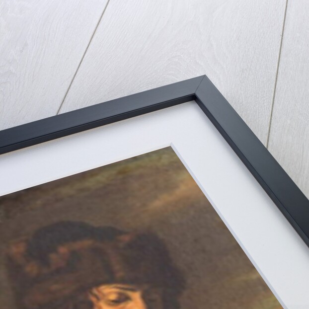 November by Joachim von (after) Sandrart