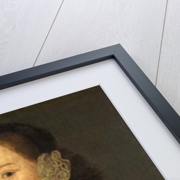 Portrait of an Unknown Lady, c.1550 by English School