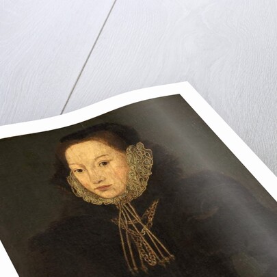 Portrait of an Unknown Lady, c.1550 by English School