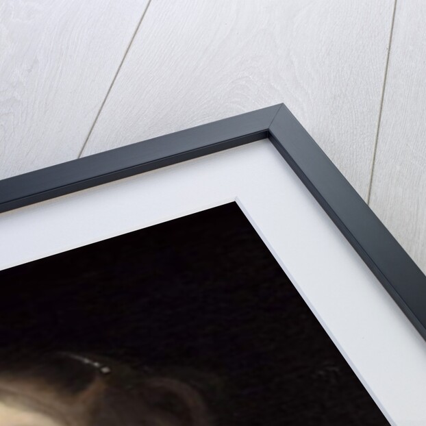 Mary Bagot, Countess of Dorset, c.1670 by John Michael Wright