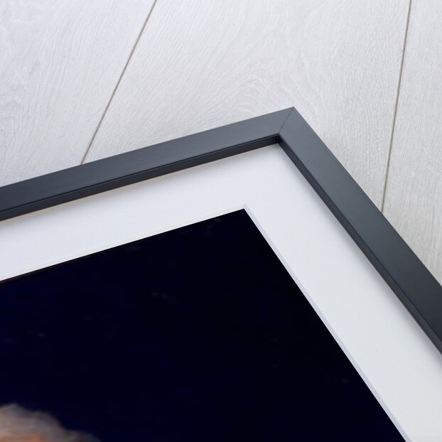 Venanzio Rauzzini with his dog, Turk, c.1795 by Joseph (attr. to) Hutchison