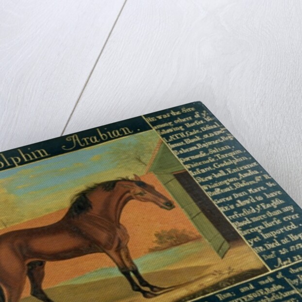 The Godolphin Arabian by Daniel Quigley