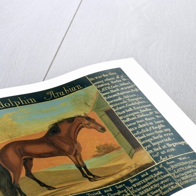 The Godolphin Arabian by Daniel Quigley