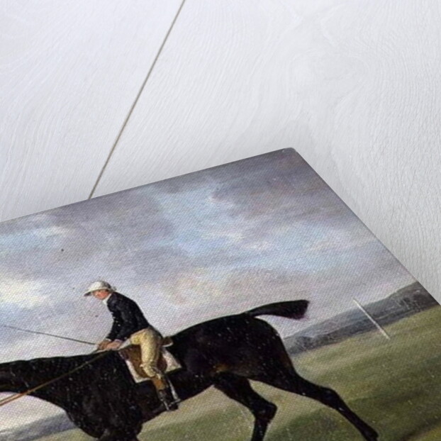 Sir Peter Teazle, 1788 by John Nost Sartorius