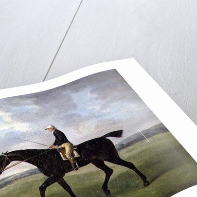 Sir Peter Teazle, 1788 by John Nost Sartorius