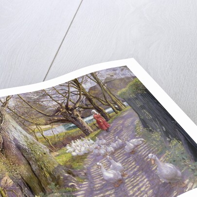 The Path by the Mill Pond, 1900 by Richard Henry Brock