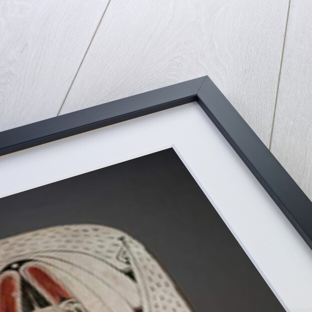 Shield by Melanesian Melanesian