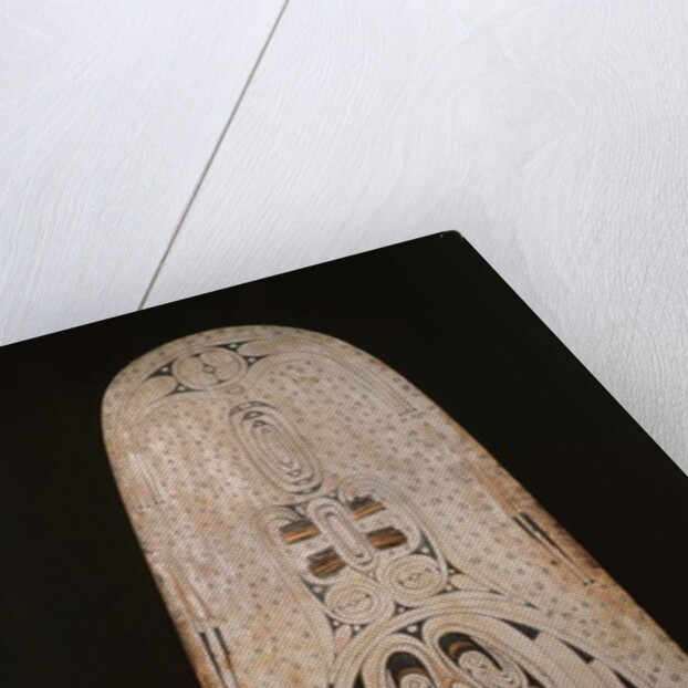 Shield, Trobriand Islands by Oceanic Oceanic