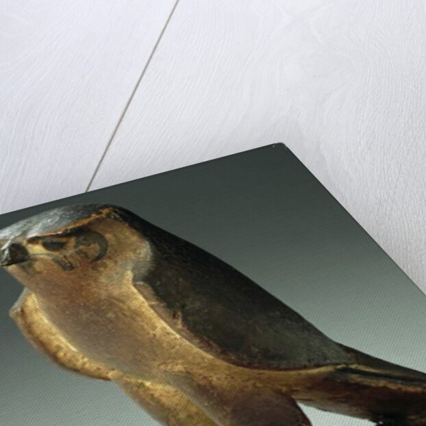 Falcon, Late Period to Ptolemaic Period, 664-30 BC by Egyptian Egyptian