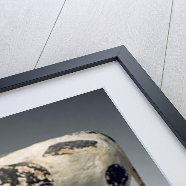 Bull or ox, Middle Kingdom by Egyptian 11th Dynasty