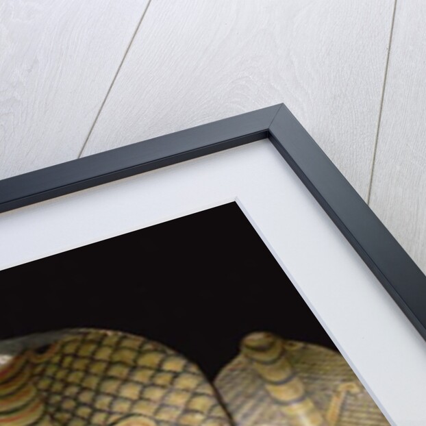 Sri Lankan mask by Sri Lankan School