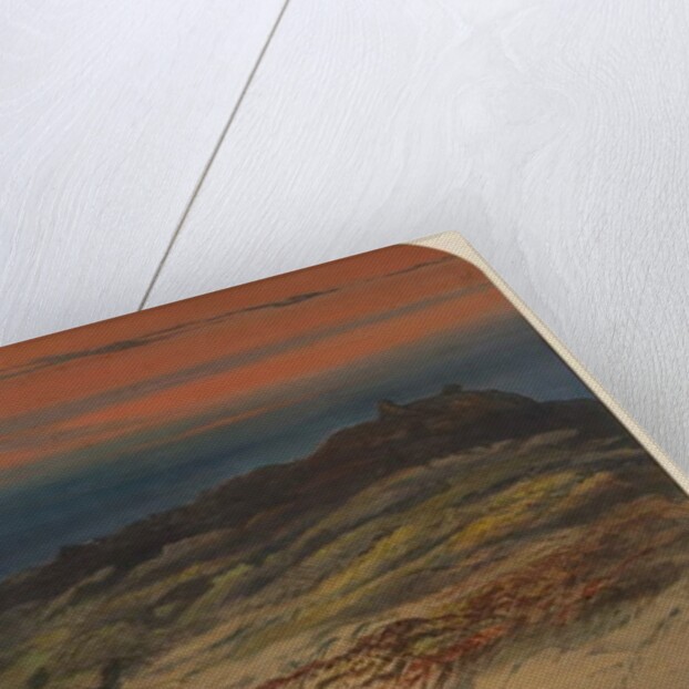 Hunting Seals, 1871 by Ernest Henry Griset