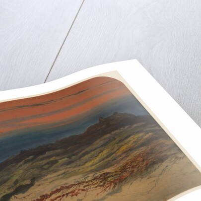 Hunting Seals, 1871 by Ernest Henry Griset