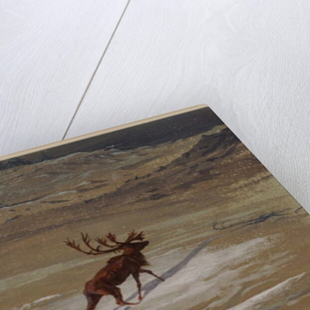 Stag, 1871 by Ernest Henry Griset