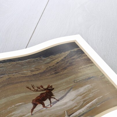 Stag, 1871 by Ernest Henry Griset