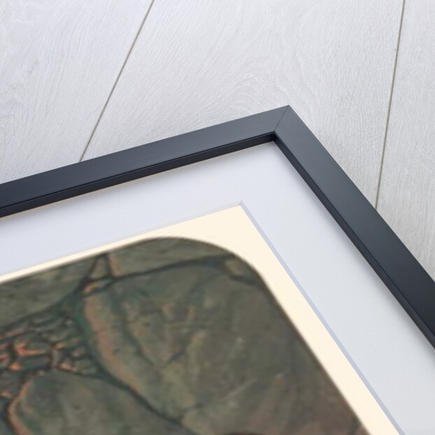 Prehistoric Scene, 1871 by Ernest Henry Griset