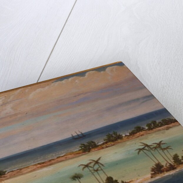 Triptych of an Atoll, 1871 by Ernest Henry Griset