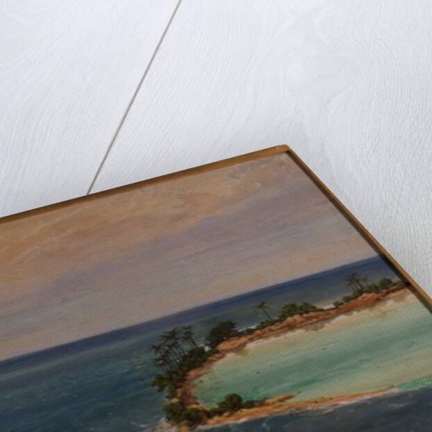 Triptych of an Atoll, 1871 by Ernest Henry Griset