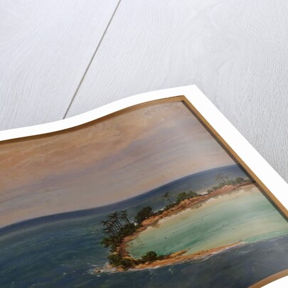 Triptych of an Atoll, 1871 by Ernest Henry Griset