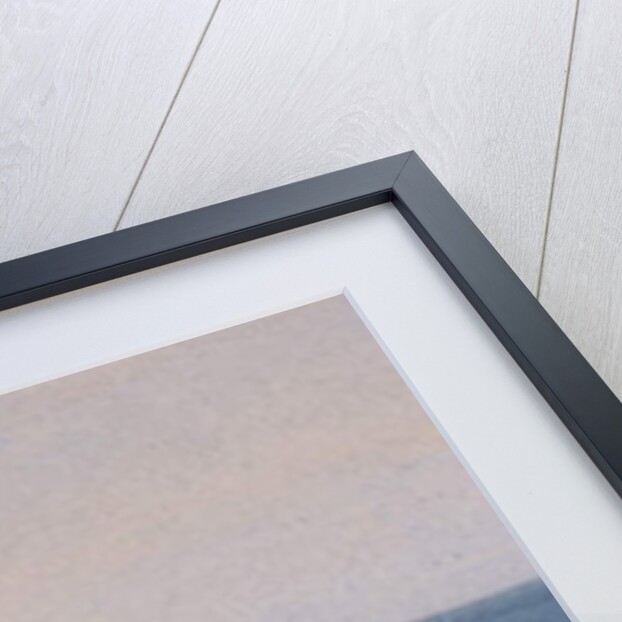 Detail of Triptych of an Atoll, 1871 by Ernest Henry Griset