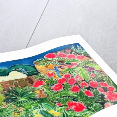 Convent Gardens, Antigua, 1993 by Hilary Simon