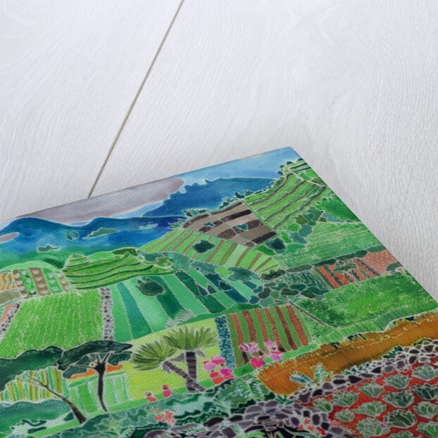 Cabbages and Lilies, Solola Region, Guatemala, 1993 by Hilary Simon