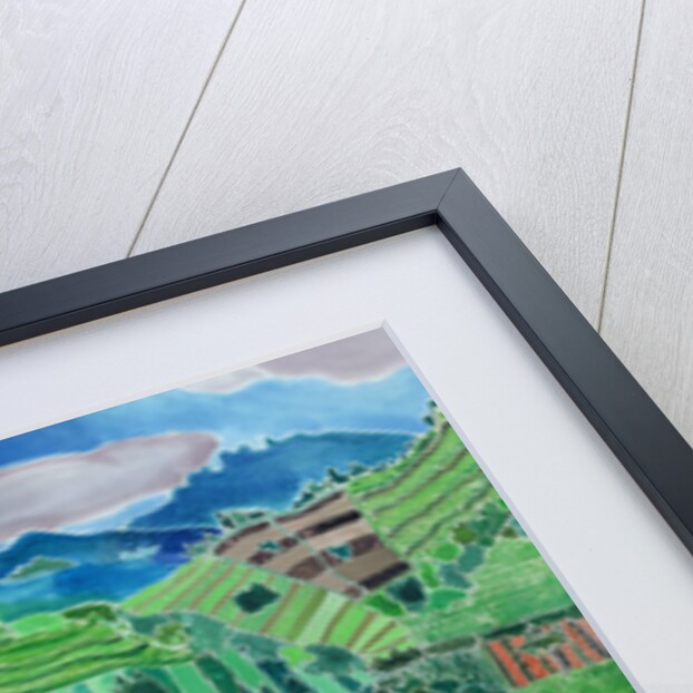 Cabbages and Lilies, Solola Region, Guatemala, 1993 by Hilary Simon