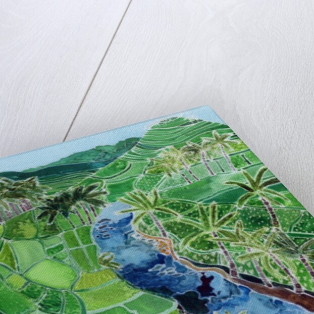 River Agung, Bali, 1996 by Hilary Simon