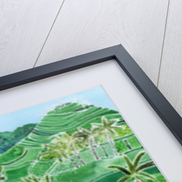 River Agung, Bali, 1996 by Hilary Simon