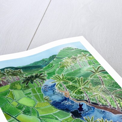 River Agung, Bali, 1996 by Hilary Simon